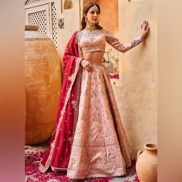 Indian Lehenga - Picture 3 of 4